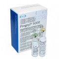 Pregnyl HCG 5000IU  sk